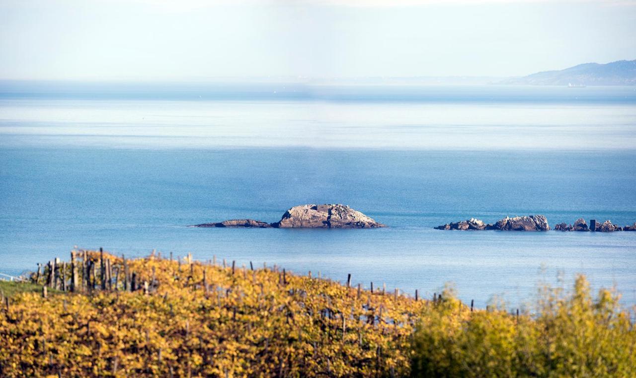 Apartmán Aterian Euromar I Zarautz Exteriér fotografie
